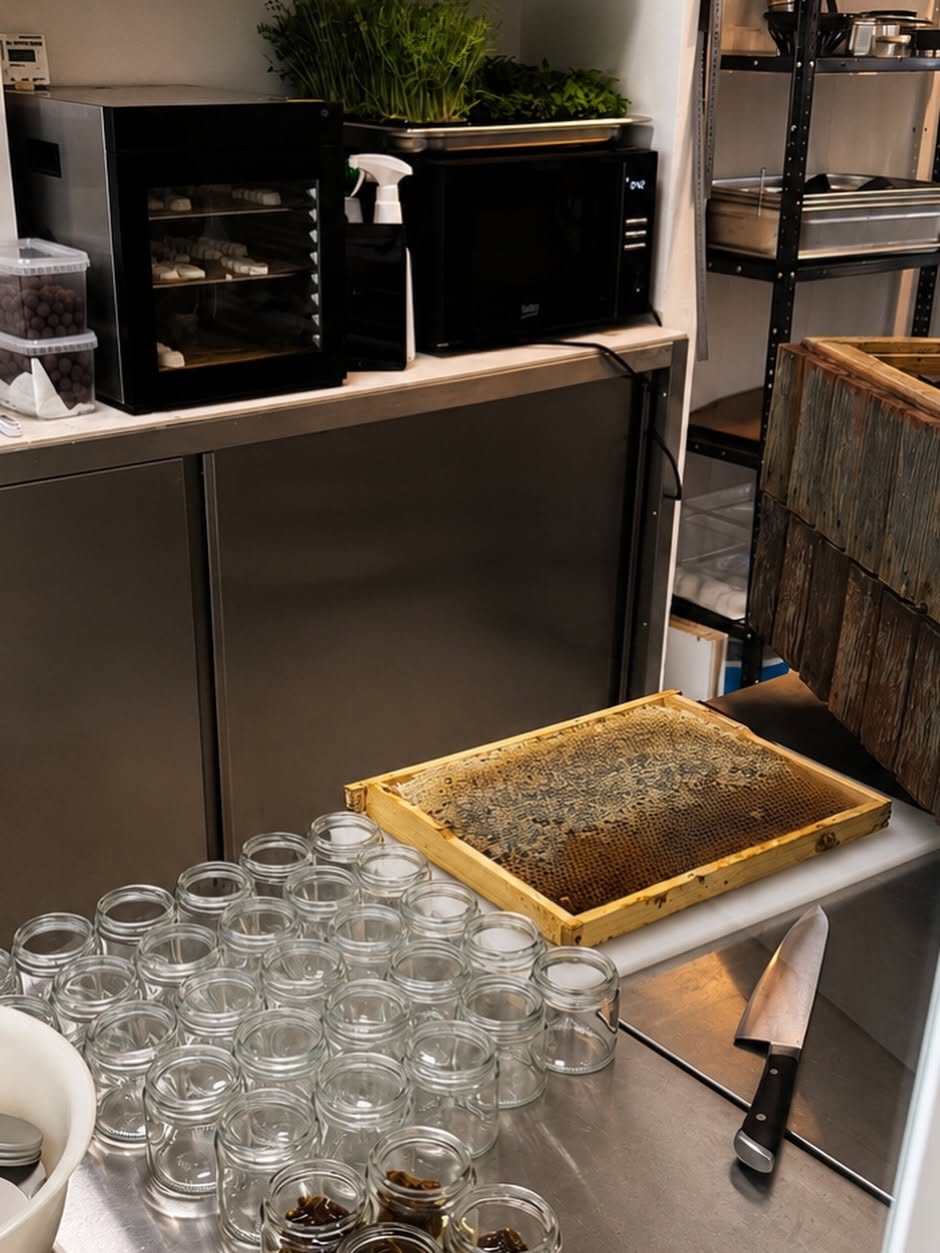 Naturalne składniki wykorzystywane w LAB